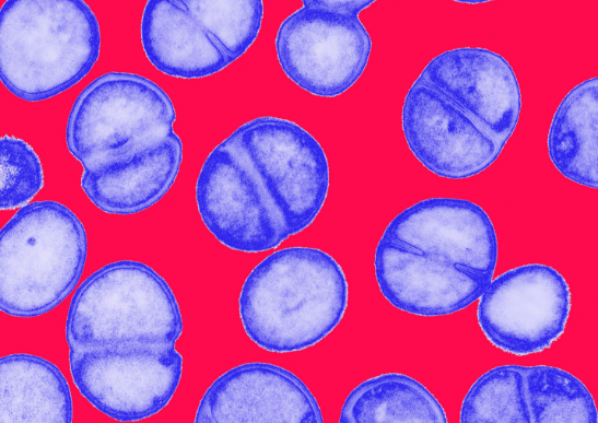 量少价低：抗生素行业将面临重大危机