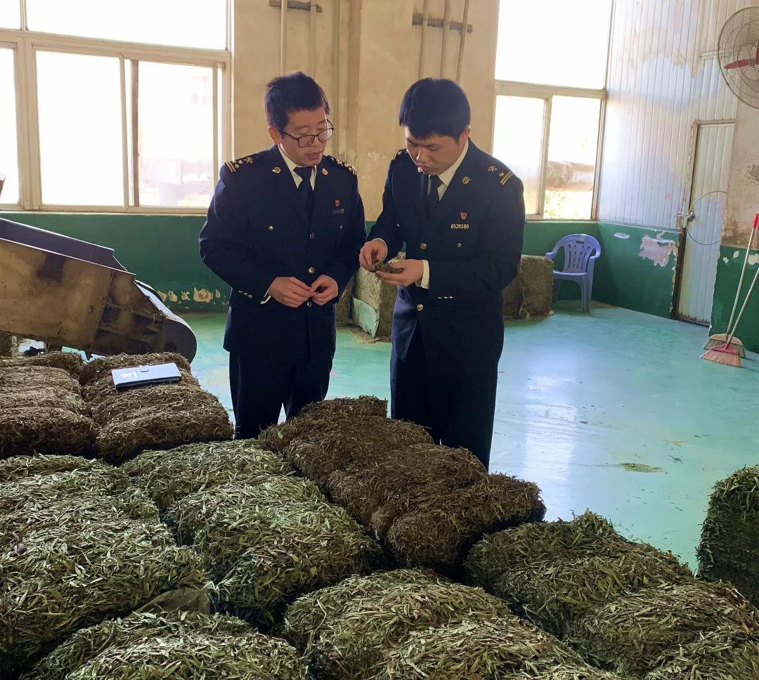 稳外贸在身边 | 政策落到实处，百姓甜到心里