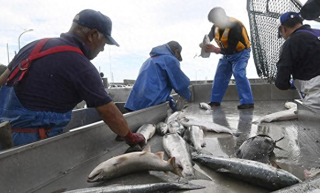 海关总署：即日起，有条件恢复日本水产品进口
